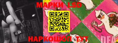 индика Пенза