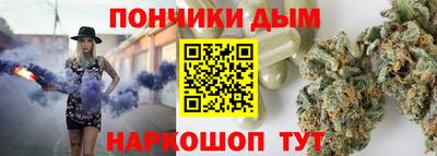 индика Пенза