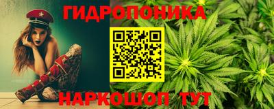 индика Пенза