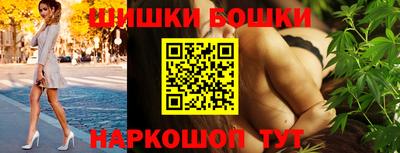 индика Пенза