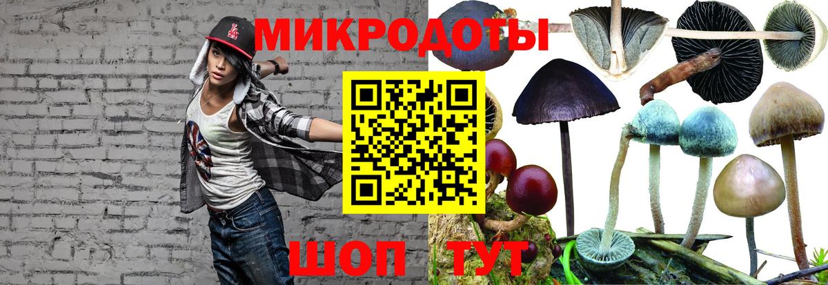Нижнеудинск  Галлюциногенные грибы мухоморы  Вход с VPN 